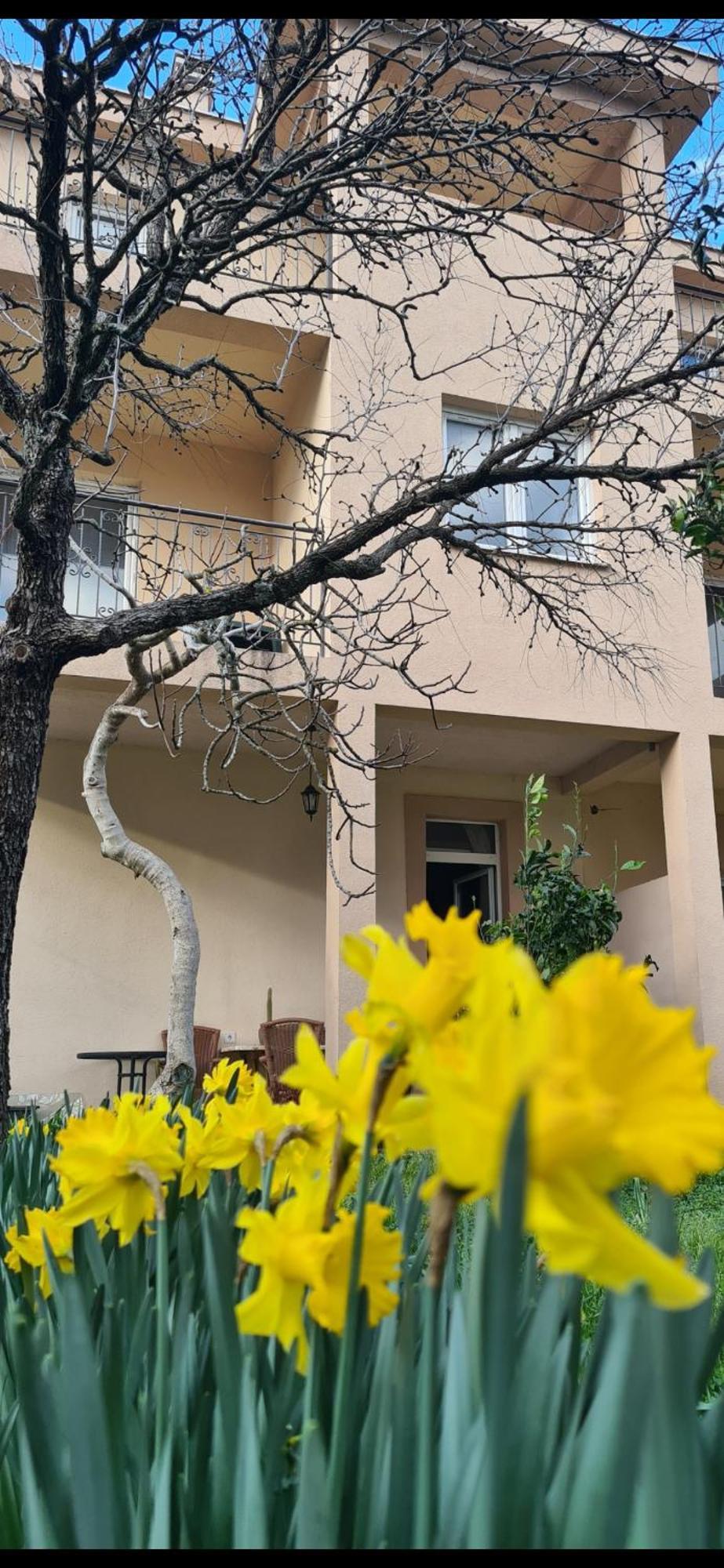 Casa M Apartment Tivat Bagian luar foto